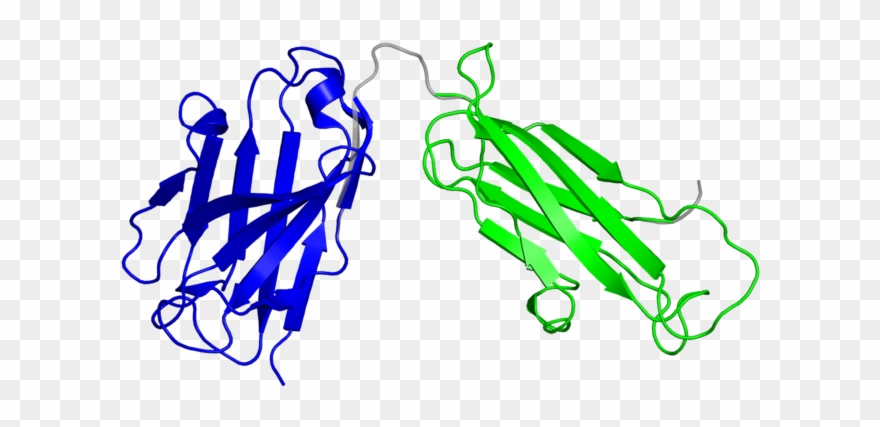 Illustration Clipart