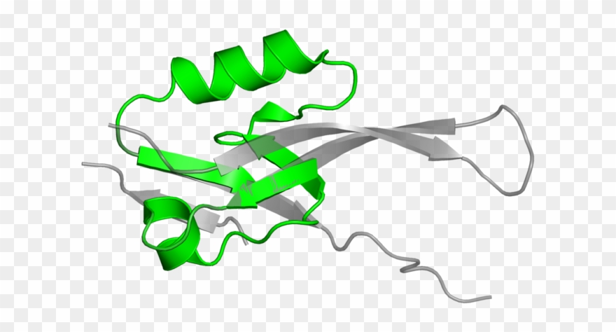 Illustration Clipart