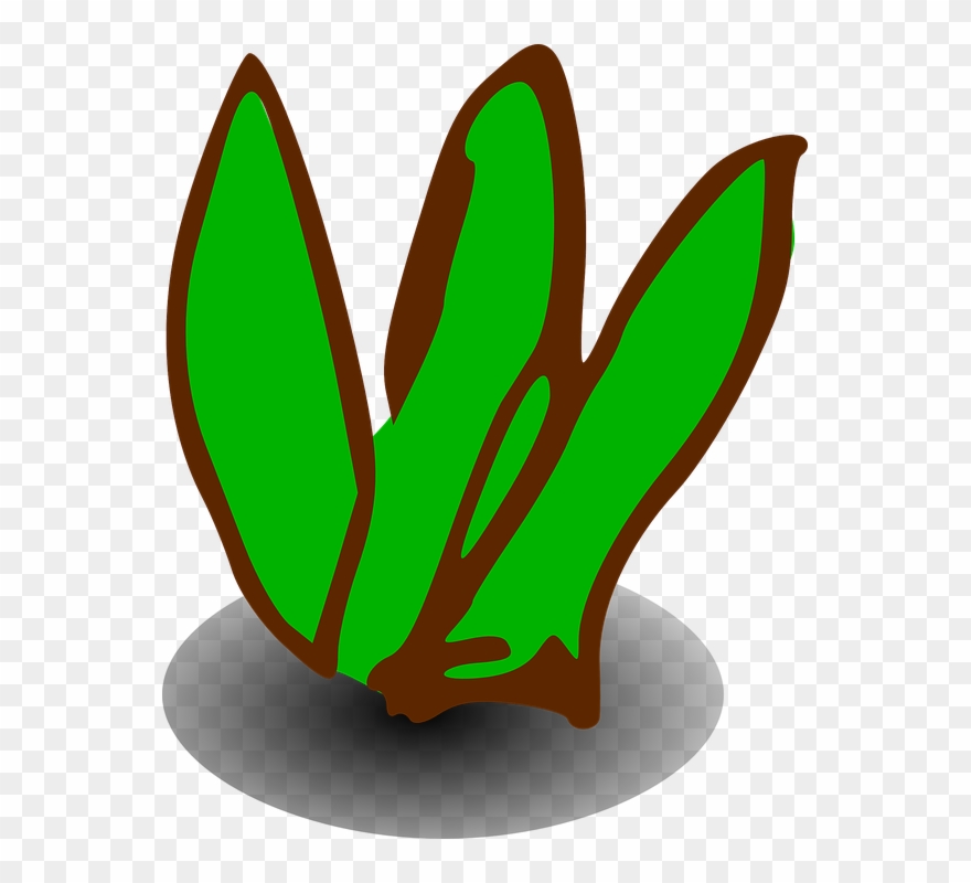 Shrub Bushes Clipart Green Plant - กอ หญ้า การ์ตูน Png Transparent Png