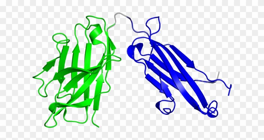 Illustration Clipart