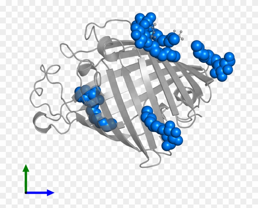<div Class='caption-body'>pdb Entry 1ild Contains 5 - Illustration Clipart