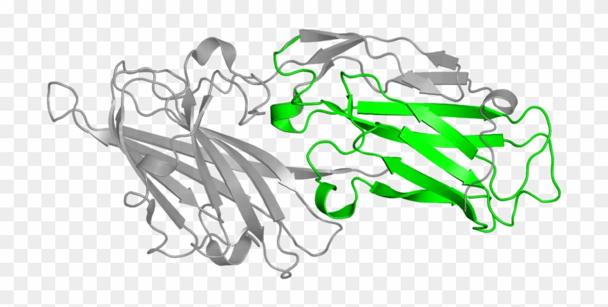 Illustration Clipart