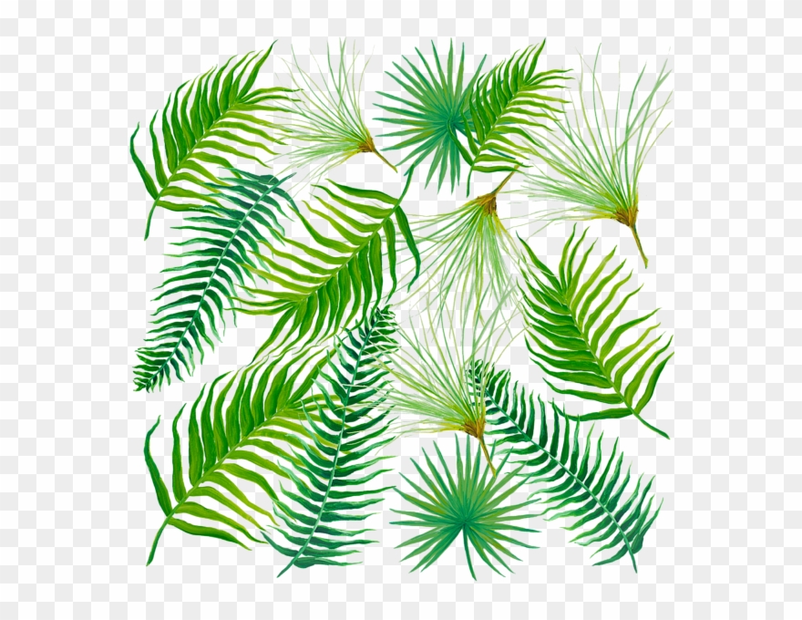 And Ferns Beach Towel For Sale By - Palm Tree Clipart