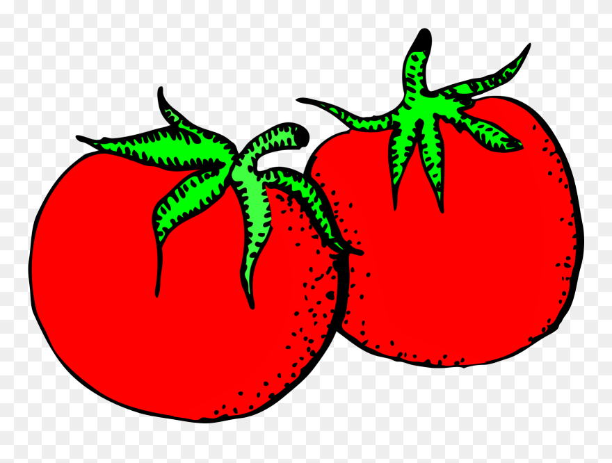 Tomatoes Clipart - Png Download