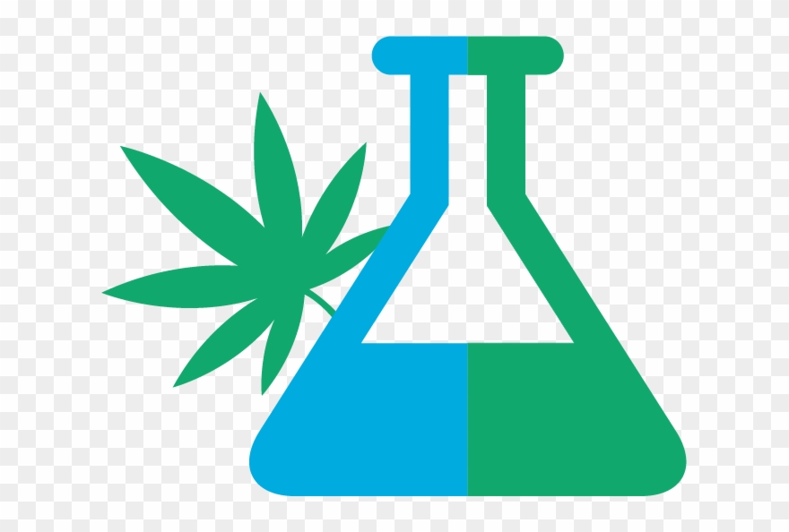 Medical Marijuana Science - Beaker Transparent Science Clipart Black And White - Png Download