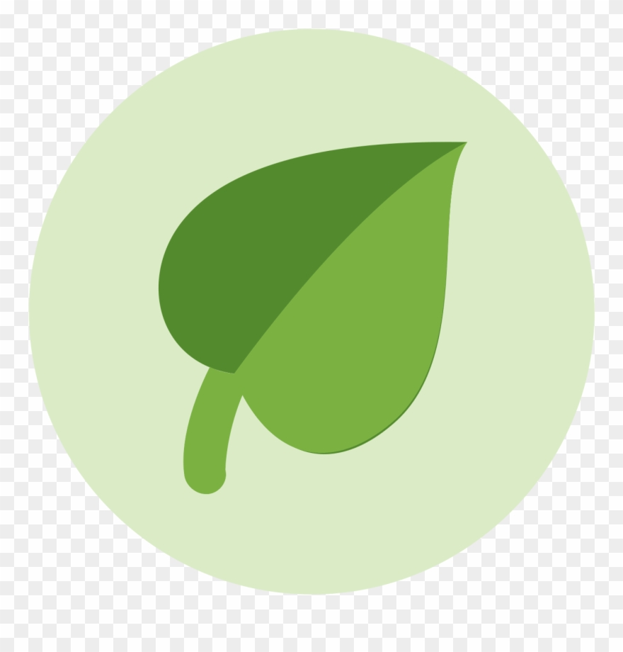 Leave Vector Single Png Transparent Download - Organic Food Icon Png Clipart