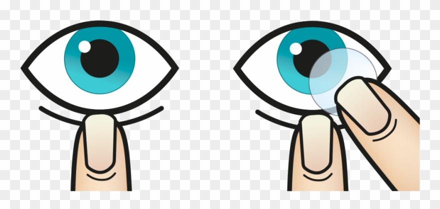 Looking Up, Place The Lens Gently On The Lower White Clipart