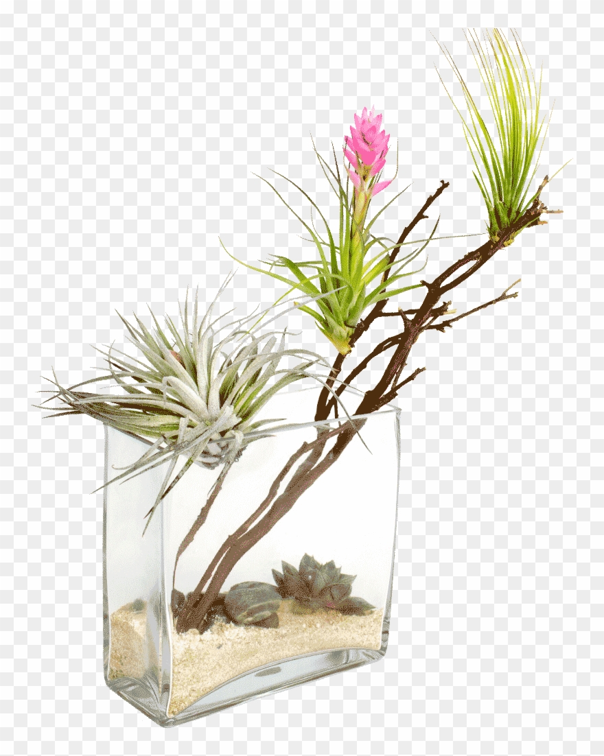 Desert Oasis Png - Desert Clipart