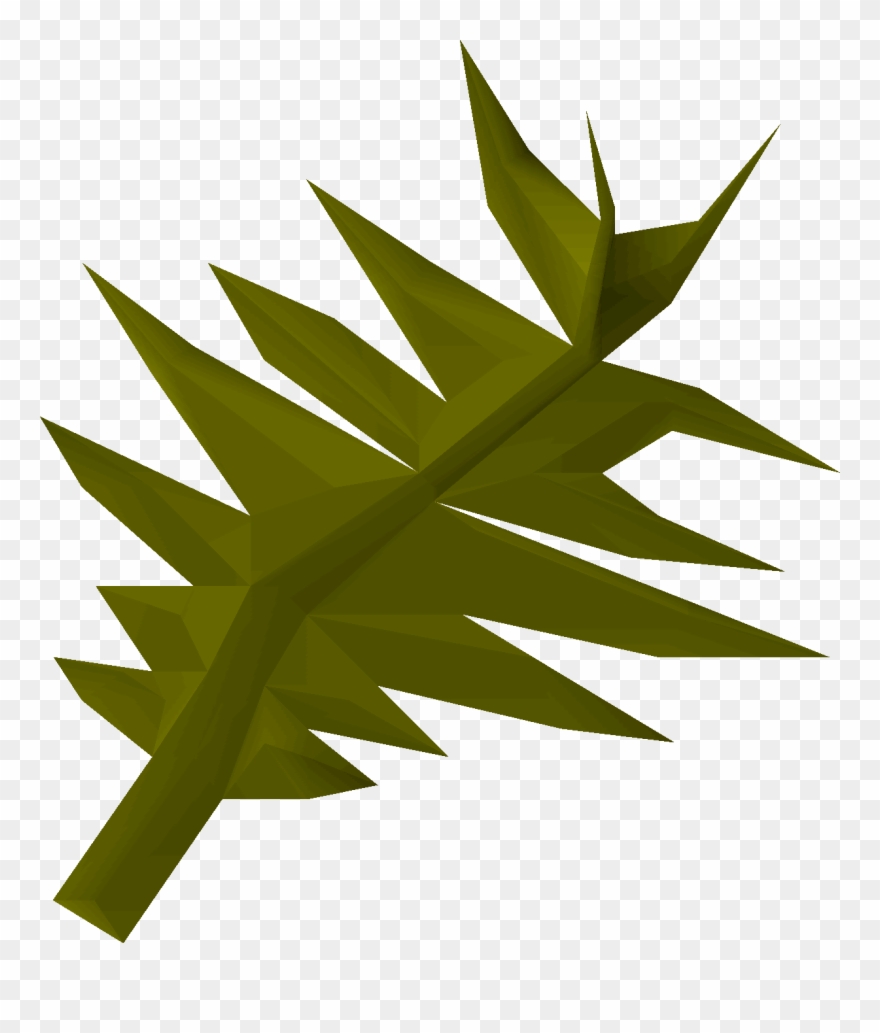 Swamp Weed Detail - Wiki Clipart