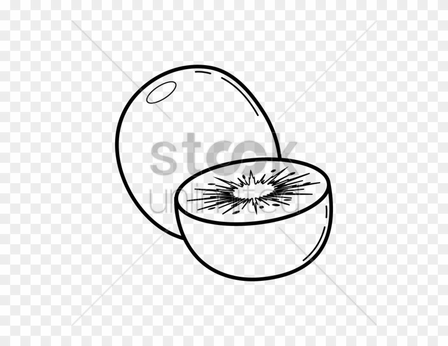 Clip Art Freeuse Download Kiwi Fruit At Getdrawings - Vector Graphics - Png Download