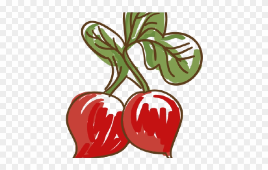 Dibujo Rabano Sin Fondo Clipart