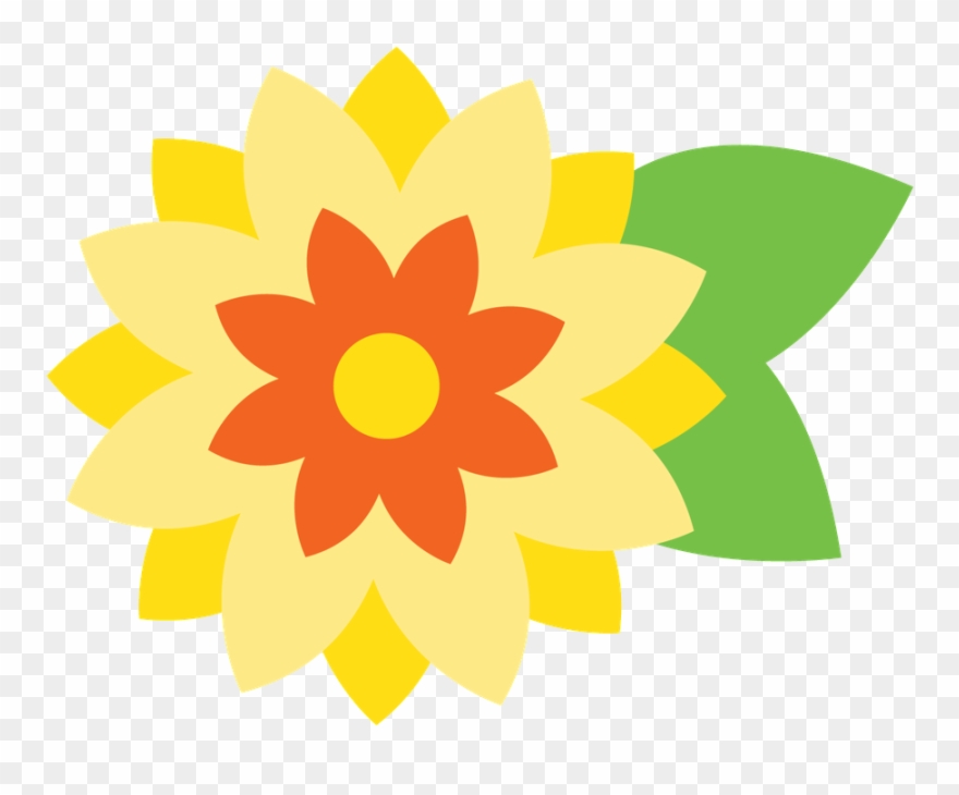 Minus Pet Accessories, Clip Art, Owl, Cute Animals, - Centro Brasileiro De Análise E Planejamento Cebrap - Png Download