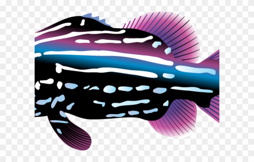 Tropical Fish Clipart Teacher - Decal Tropical Fish Aquarium Car Window Jet Ski D217 - Png Download