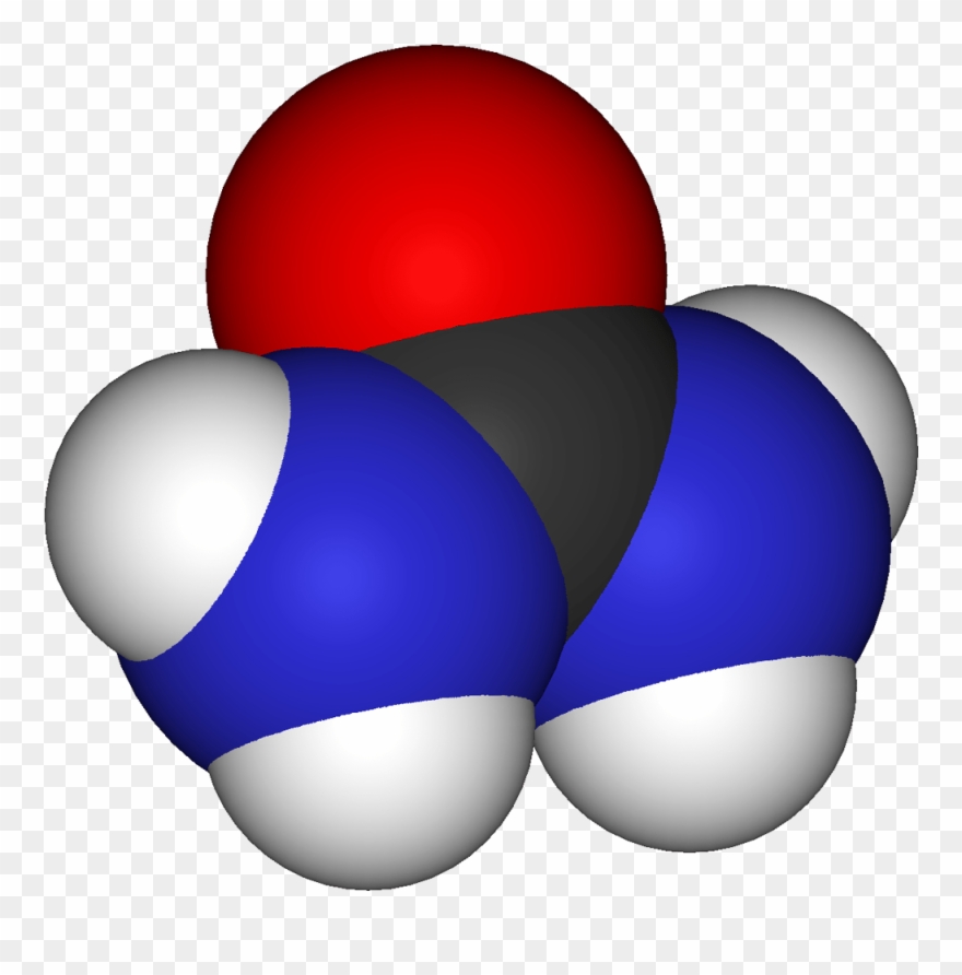 Urea, As In Urine - Molecule Clipart