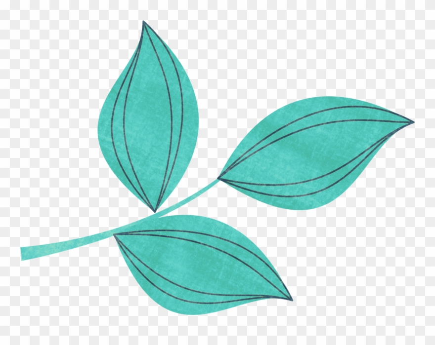 Фото, Автор Missis - Clip Art - Png Download