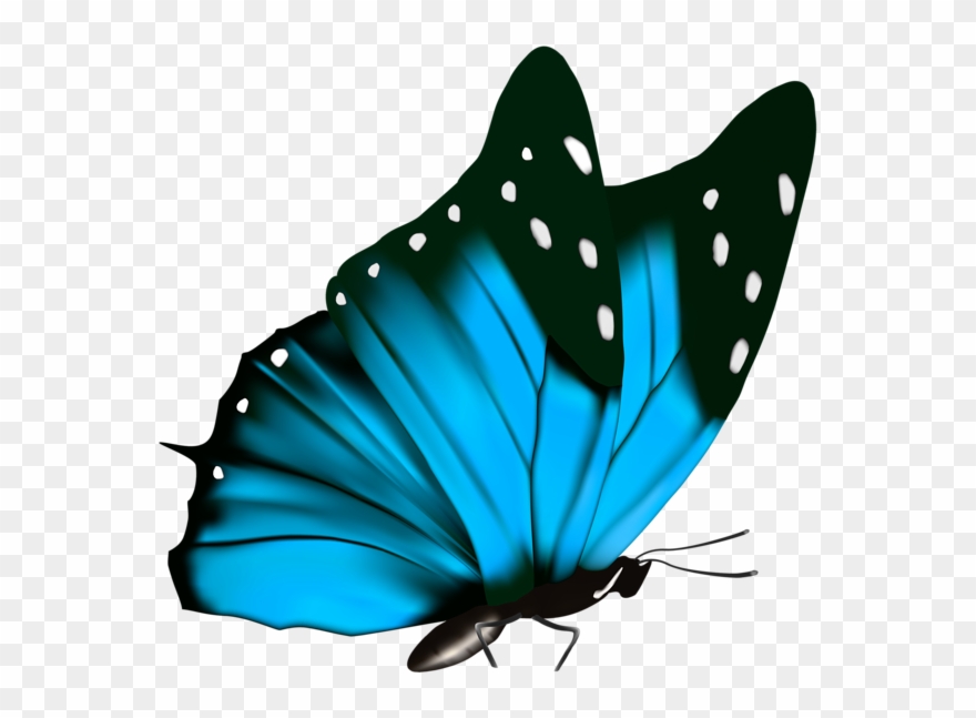 Butterfly Png Clipart Image - Blue Butterfly Png Transparent Png