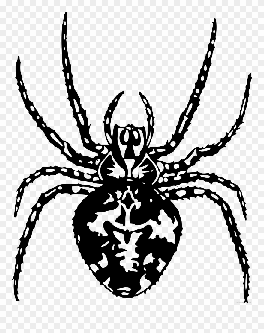 Spider Clipart Black And White Free - Arthropod Black And White - Png Download