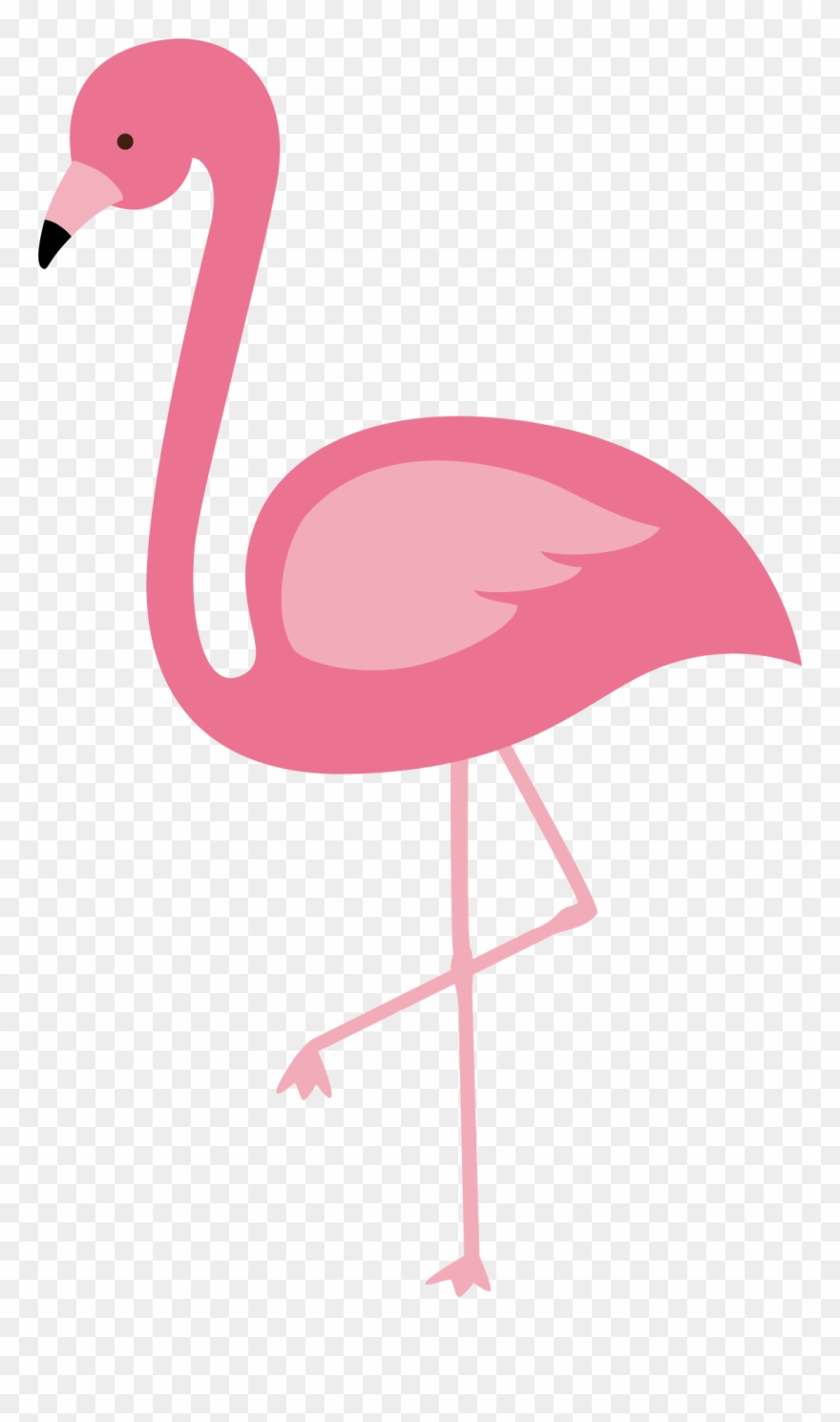 Flamingo Clipart Pink Flamingo - Vector Flamingo Png Transparent Png