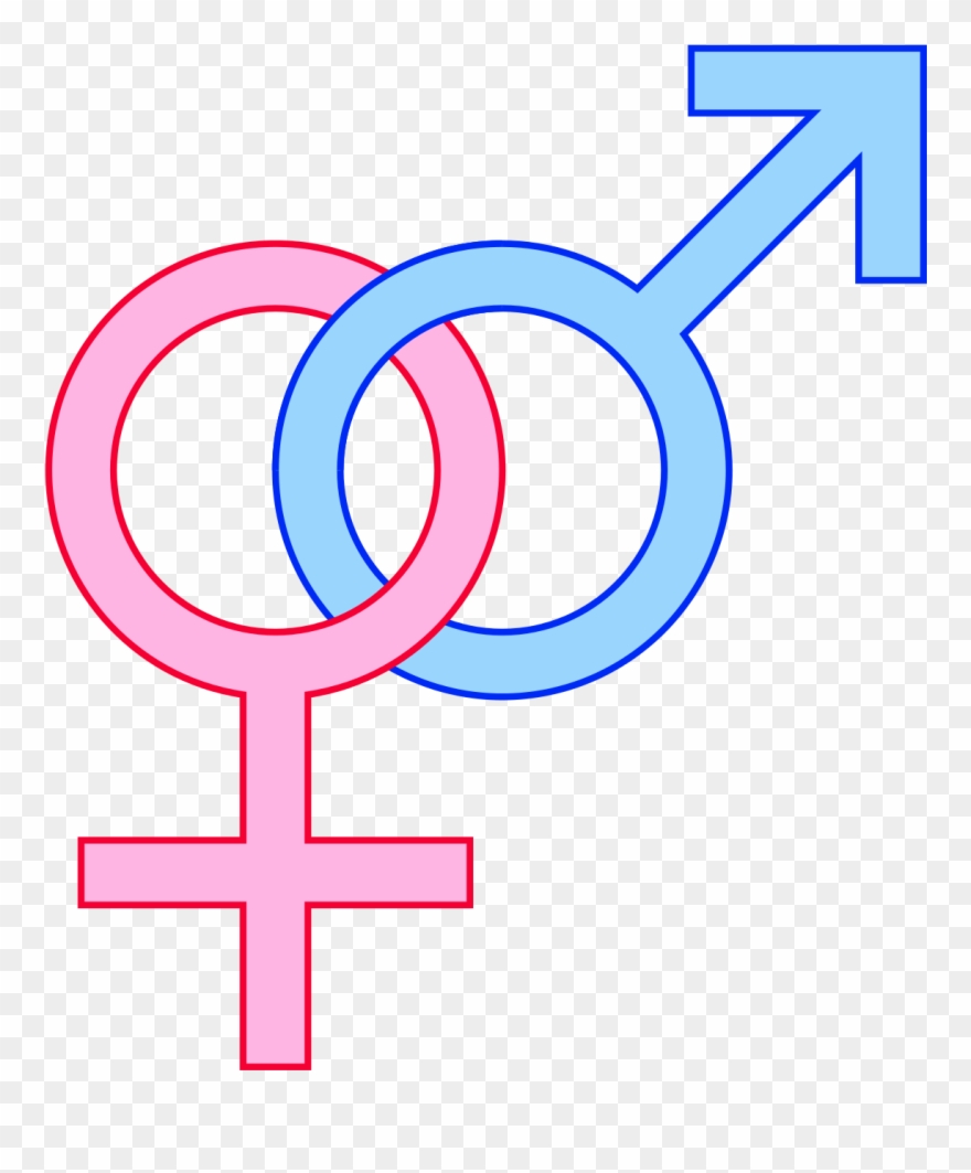 Gender Symbols Cartoon Clipart
