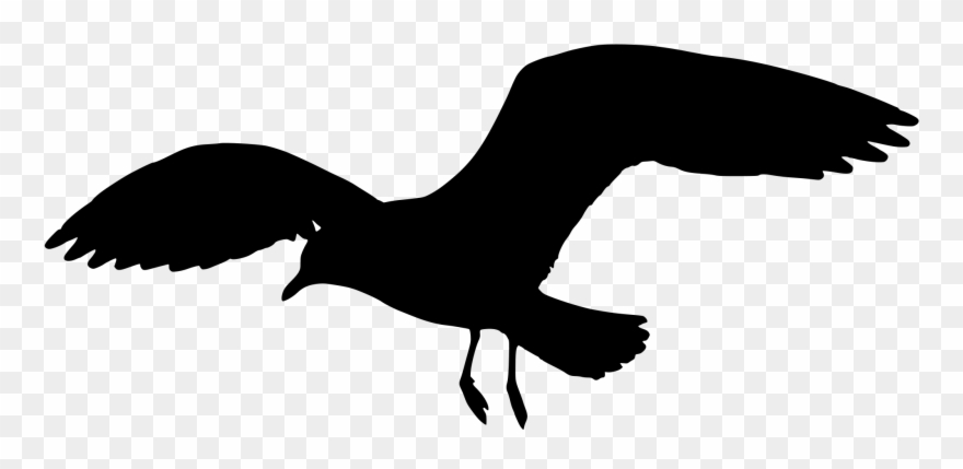 Seagull Clipart Silhouette Pencil And In Color Seagull - Seagull Flying Silhouette - Png Download