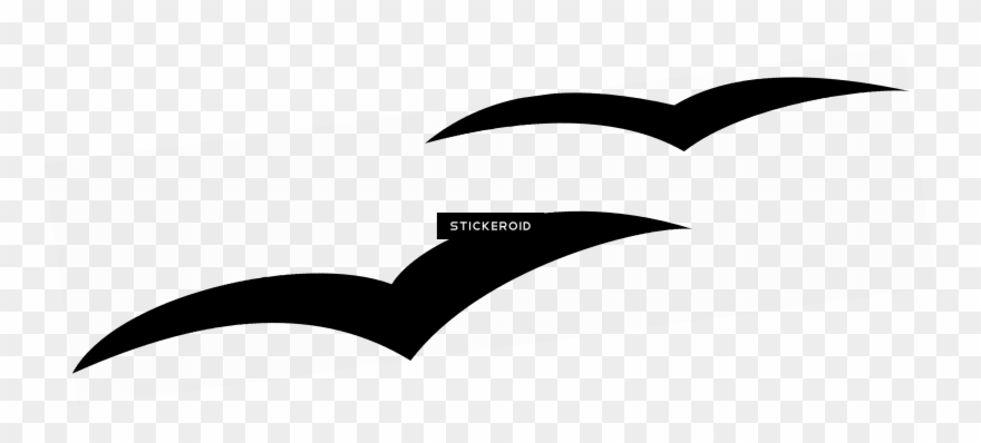 Gulls Birds Gull - Graphic Design Clipart