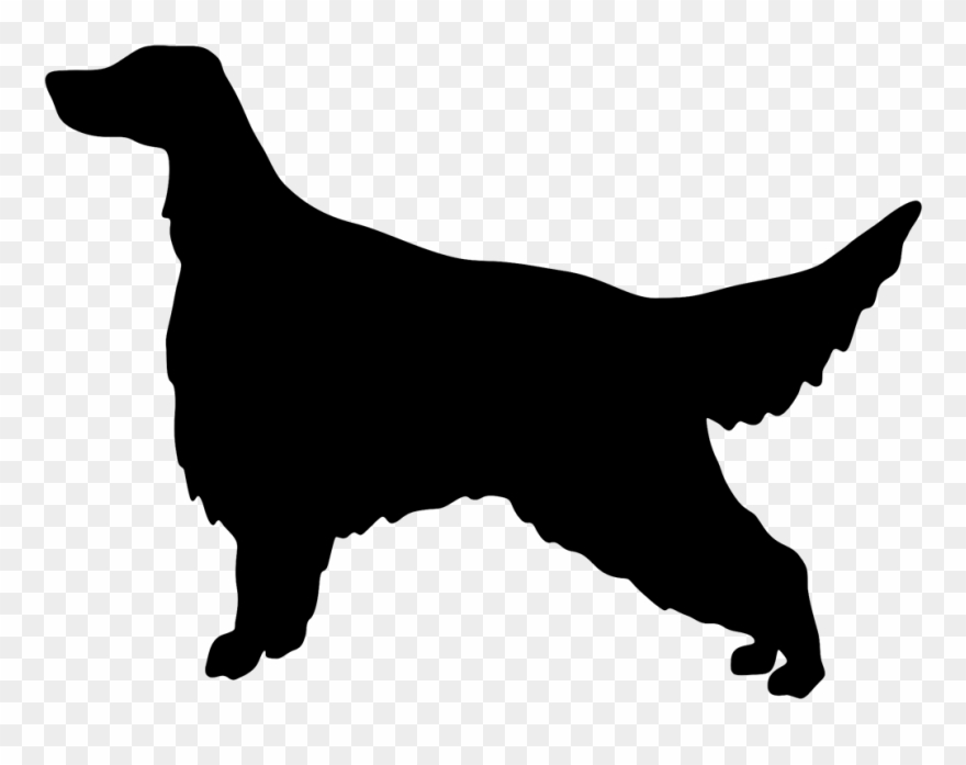 Red Setter Clipart Golf - Dog Golden Retriever Silhouette - Png Download