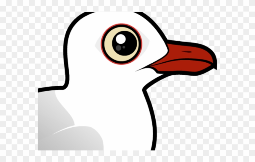 Seagull Clipart Australian Bird - Gulls - Png Download