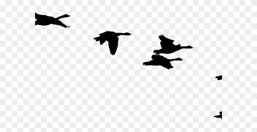 Flock Of Birds Clipart Seagull - Surviving Stress: Rediscover The Awesome You! - Png Download