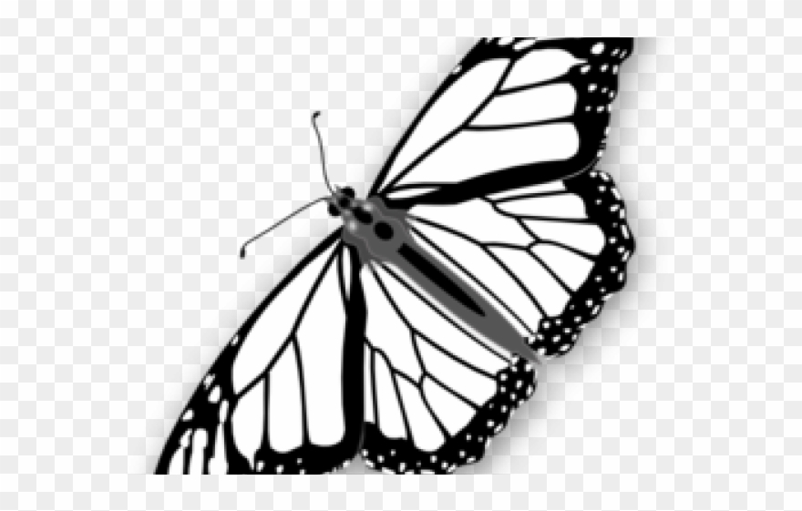 Monarch Butterfly Clipart - Butterfly Clip Art - Png Download