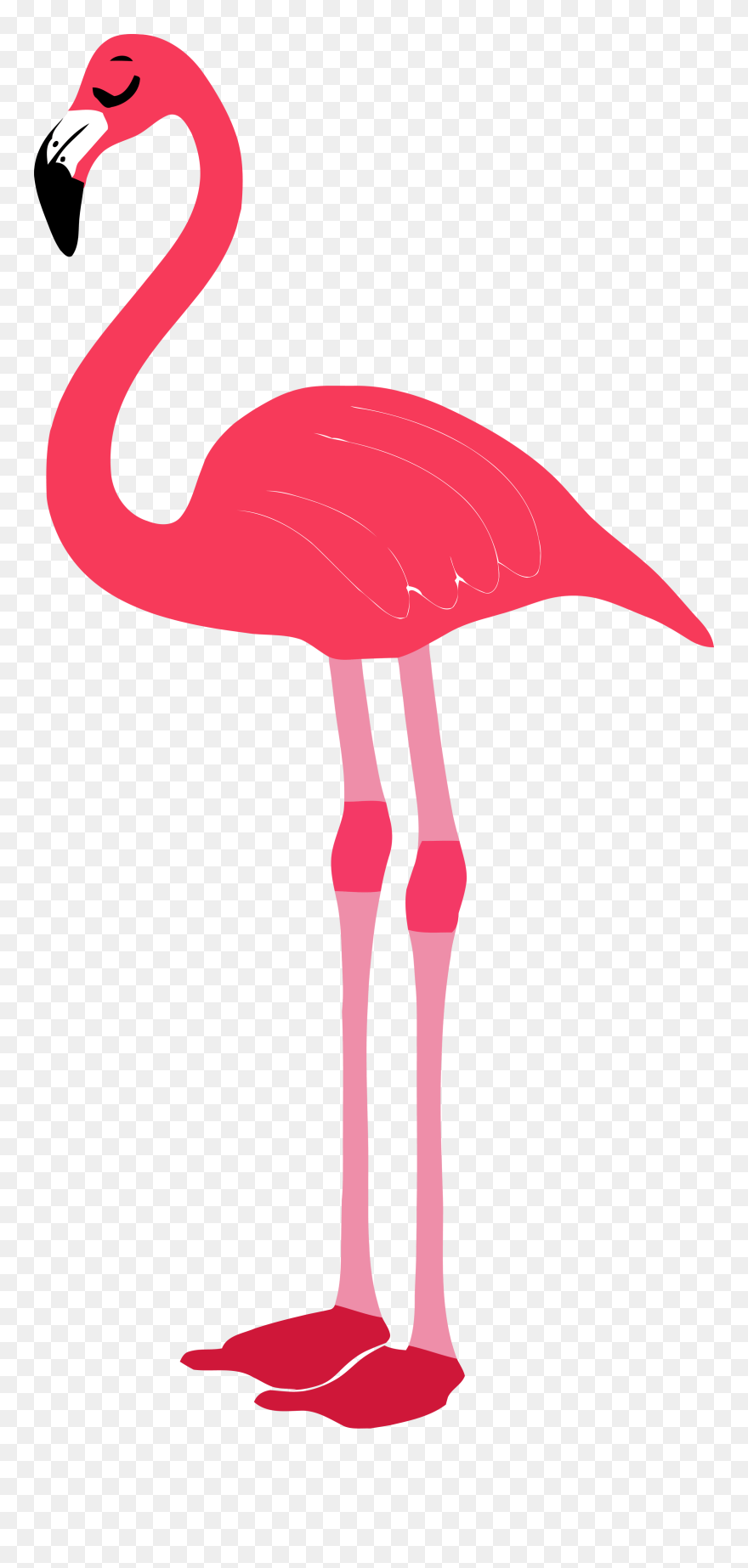 Clipart Flamingo Clipartix - Transparent Background Flamingo Png