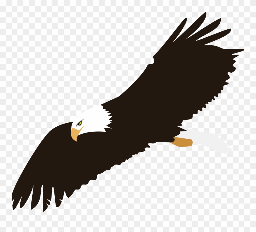 Eagle Clipart No Background - Bald Eagle Clipart Png Transparent Png