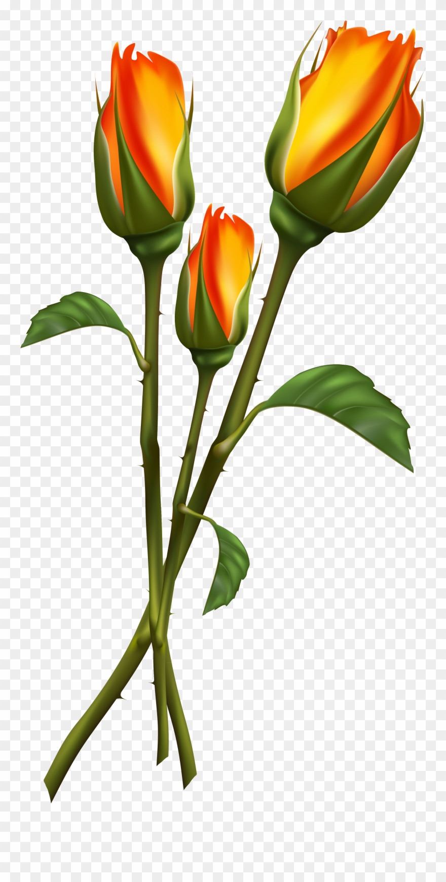 High Quality Images, Clipart, Plants - Flower Bud Clipart Png Transparent Png