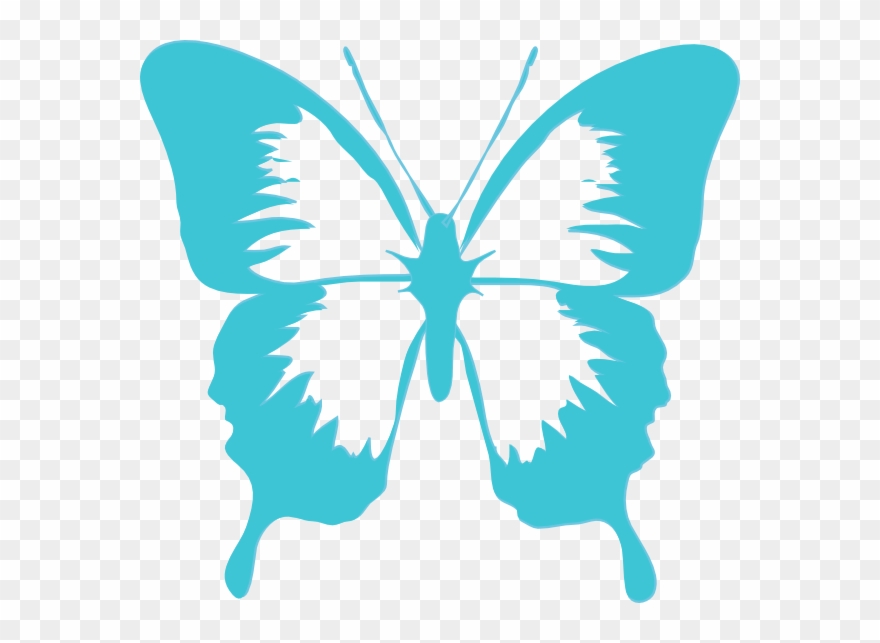 Free Butterfly Clip Art Graphics Free Clipart Images - Butterfly Clip Art - Png Download