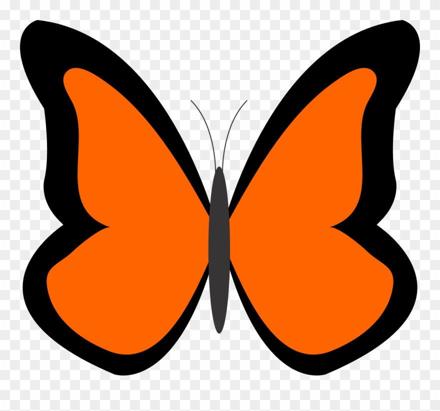 Bug Clipart Orange Butterfly Pencil And In Color Bug - Orange Color Clip Arts - Png Download