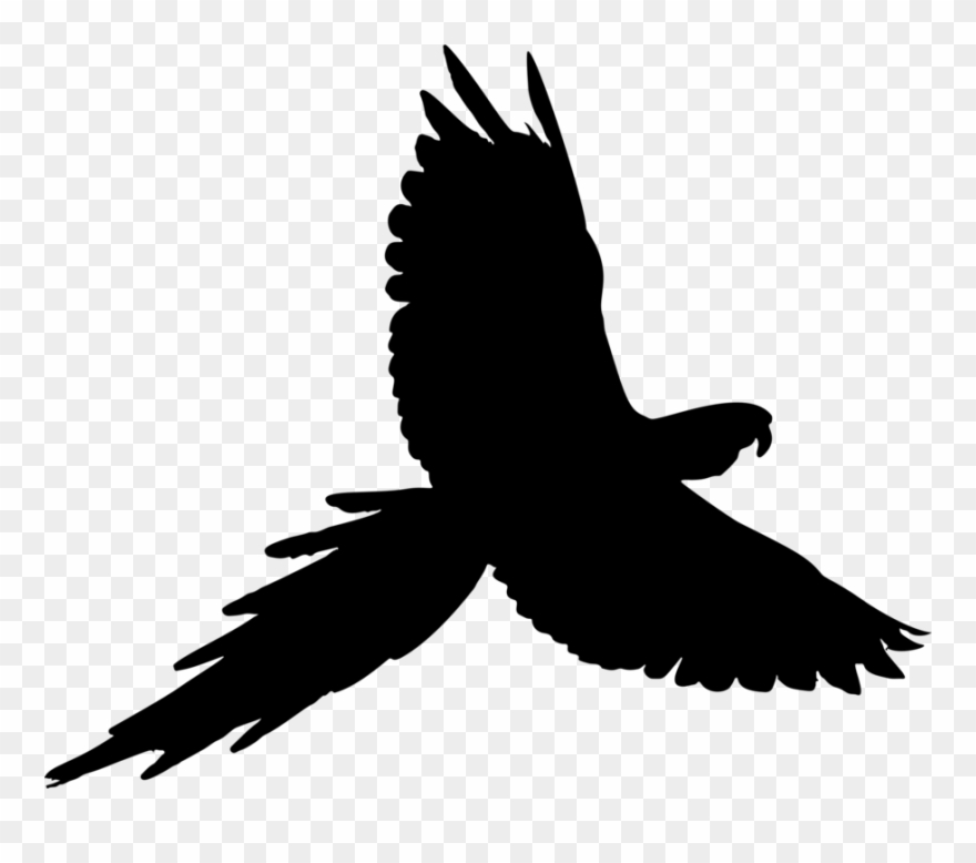 Clipart Parrot Silhouette Clip Art Microsoft Office - Parrot Fly Black Png Transparent Png