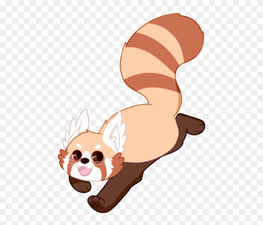 Red Panda Clip Art - Red Panda Drawing Base - Png Download