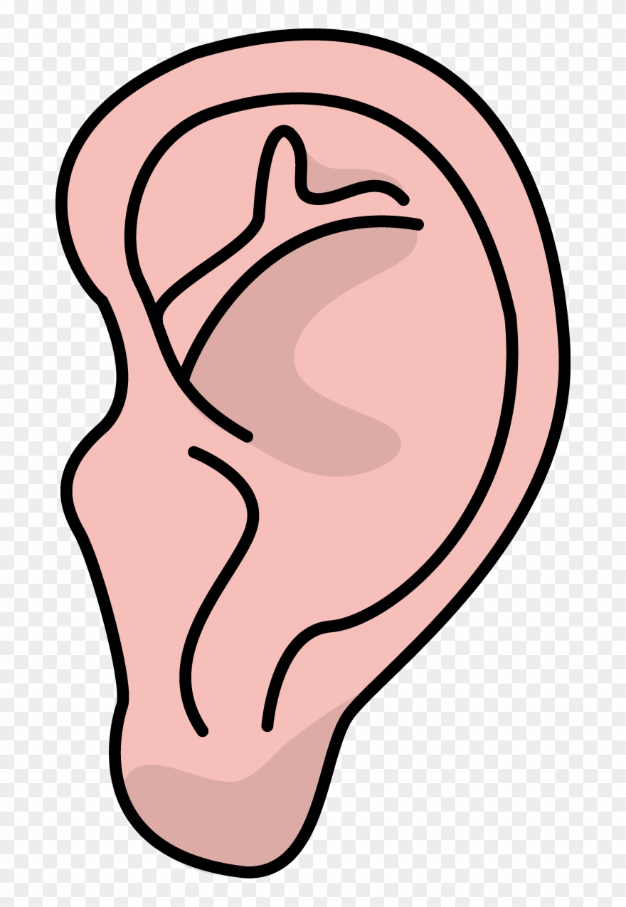 Image For Free Ear Health High Resolution Clip Art - Ear High Resolution - Png Download