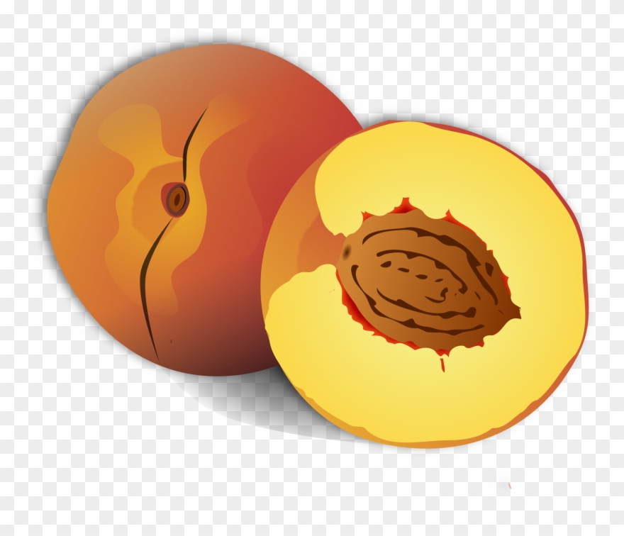 Showing Post & Media For Cartoon Peach Clip Art - Custom Peach Shower Curtain - Png Download