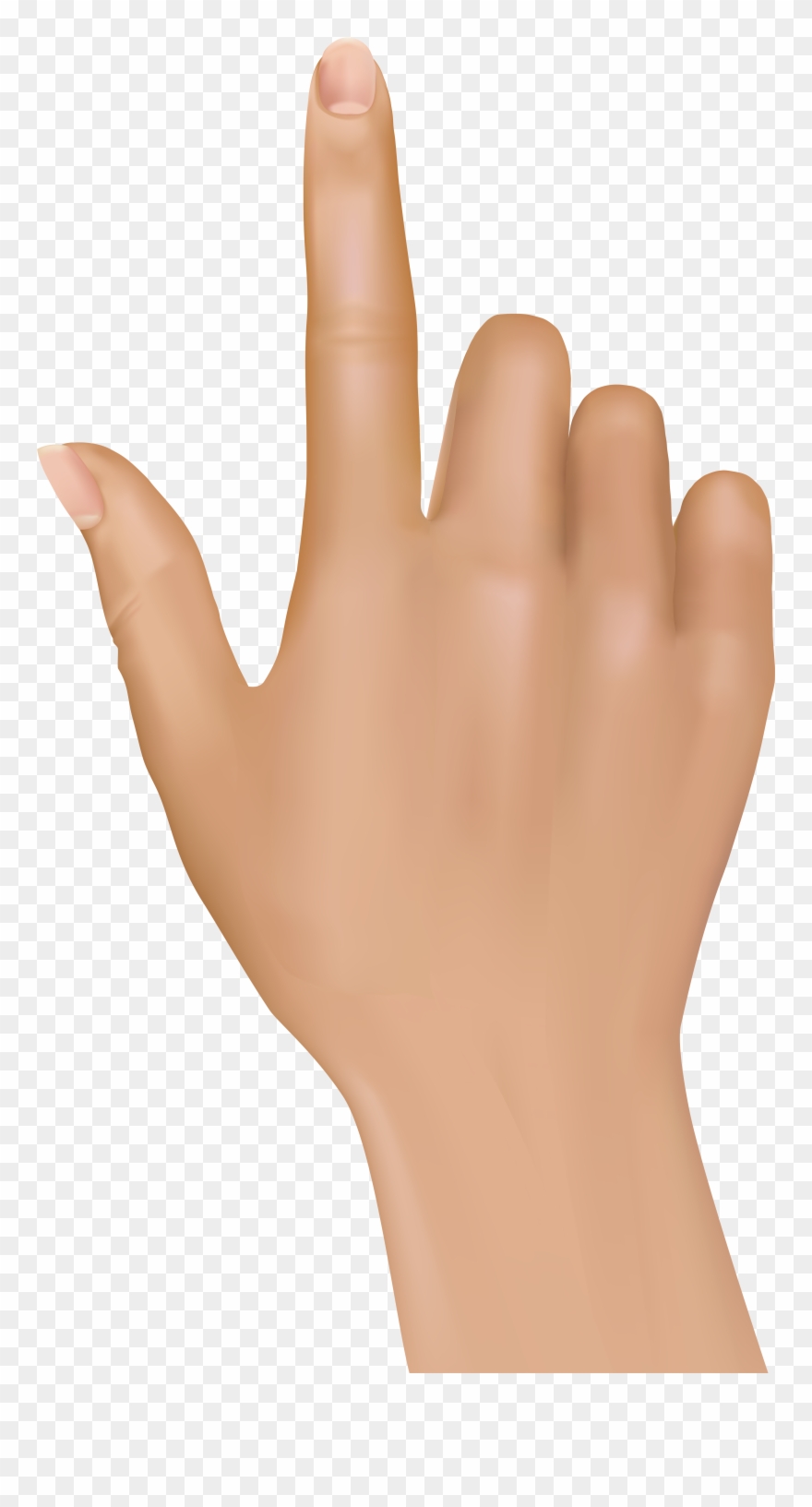 Download Free Printable Clipart And Coloring Pages - Hand Index Finger Png Transparent Png