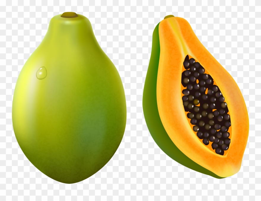 View Full Size - Papaya Clip Art - Png Download