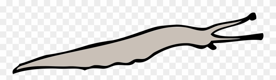 Computer Icons Yellow Slug Download Line Art - Transparent Slug Clipart - Png Download