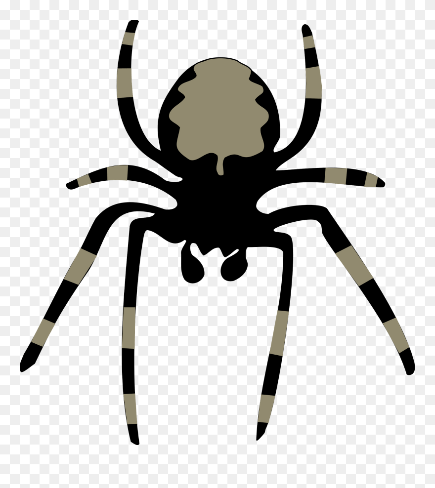 Spider Clip Art With Transparent Background Free - Clipart Of Spider - Png Download