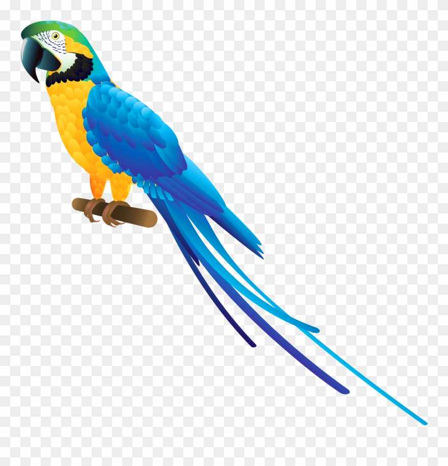 Blue Parrot Png Clipart - Blue And Yellow Macaw Clipart Transparent Png