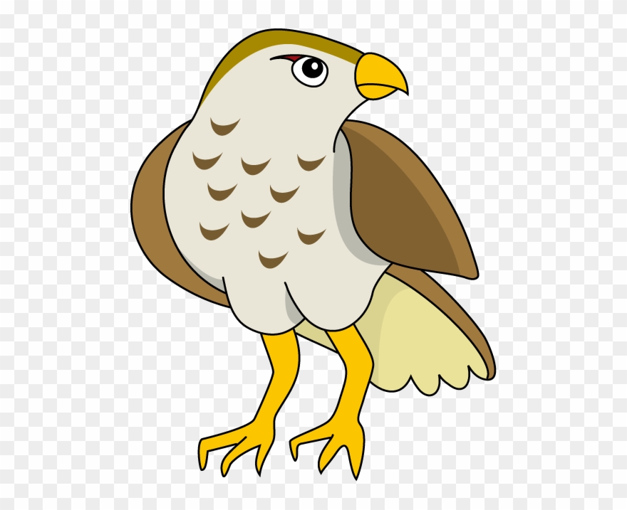 Hawk Clip Art - Nikumaroro Island - Png Download