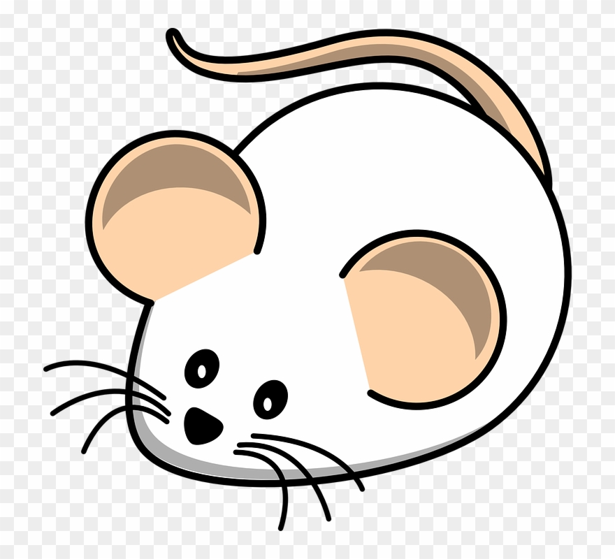 Cartoon Mouse Pictures - White Mouse Clipart - Png Download