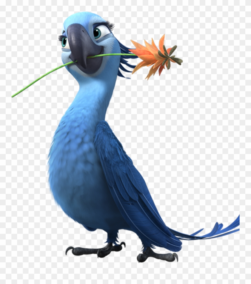 Clip Art Free Download User Blog Lordofduel Wiki - Rio 2 Jewel - Png Download