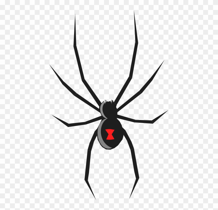 Free Spider Clip Art Pictures - Black Widow Spider How To Draw - Png Download