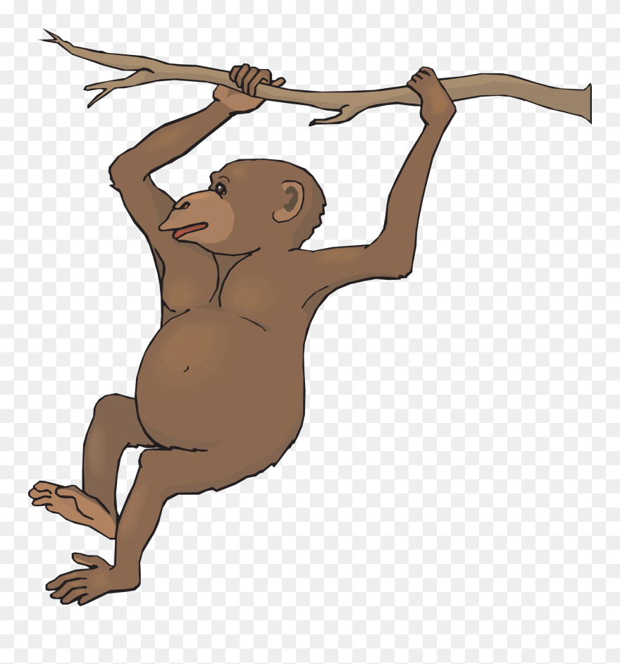 Free To Use Public Domain Monkey Clip Art - Female Chimpanzee Clipart - Png Download