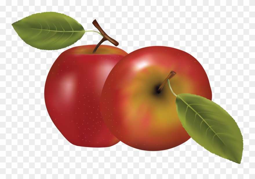 19 Apples Clip Art Freeuse Huge Freebie Download For - Apple Clipart - Png Download