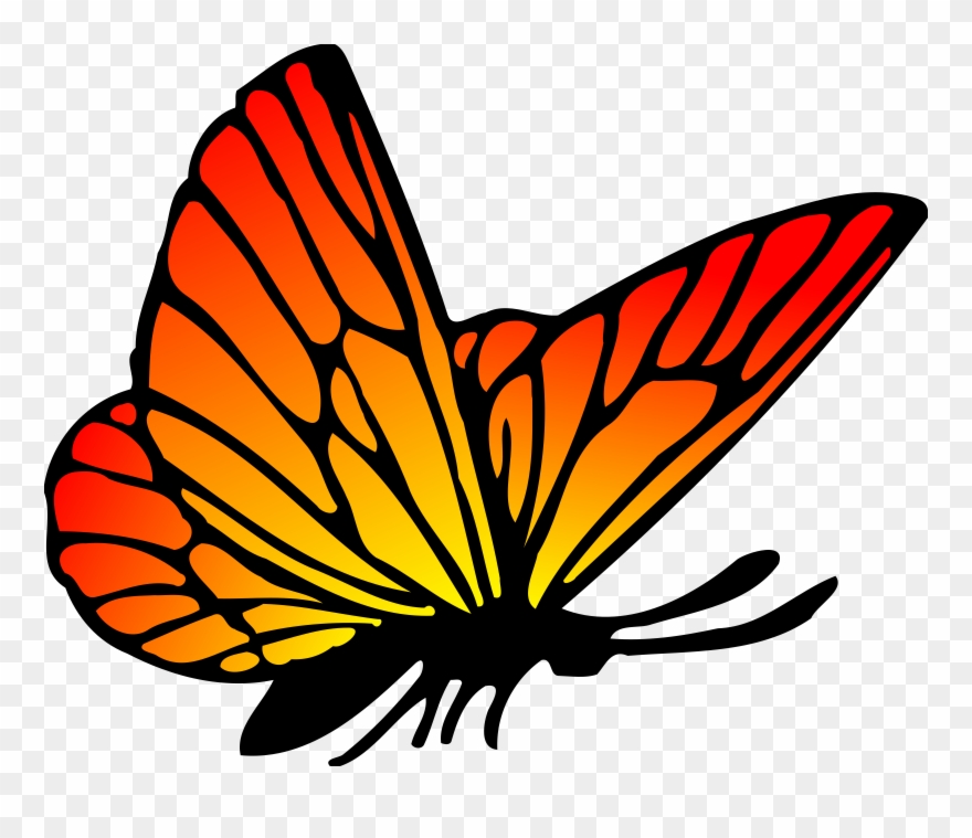 Non-copyrighted Clip Art Butterfly - Kupu Kupu Vektor - Png Download